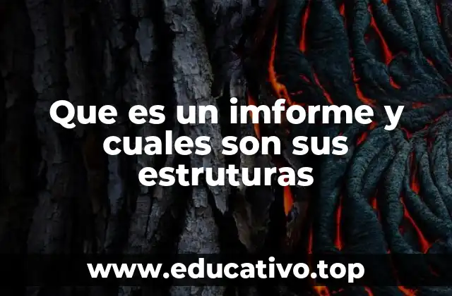 La importancia de los informes en el entorno profesional