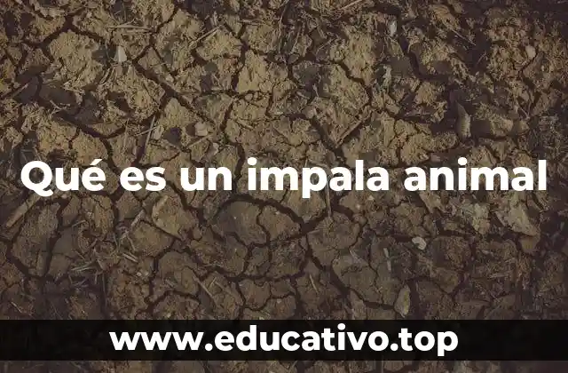 Qué es un impala animal