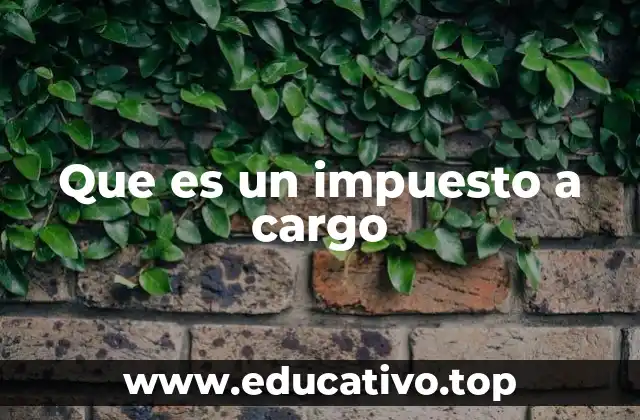 Que es un impuesto a cargo