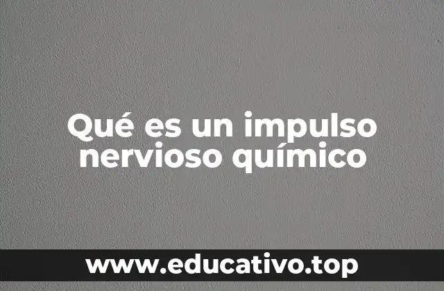 Qué es un impulso nervioso químico