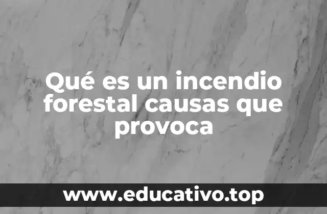 Qué es un incendio forestal causas que provoca