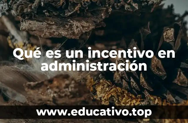 La importancia de los incentivos en el entorno laboral