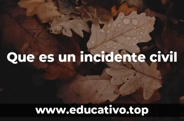 Que es un incidente civil
