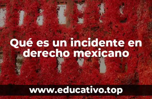 Qué es un incidente en derecho mexicano