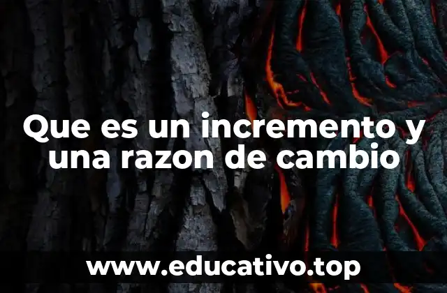 Cómo se aplican estos conceptos en situaciones cotidianas