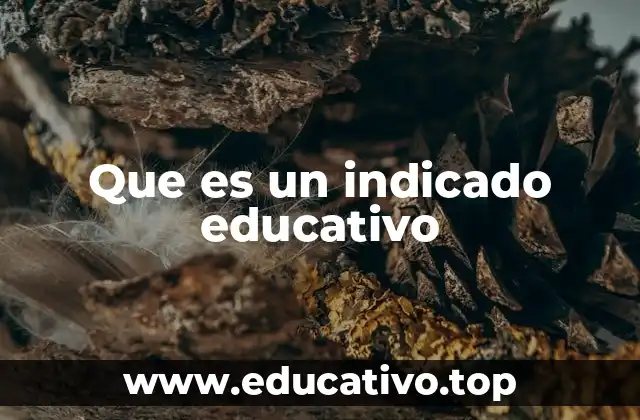 Que es un indicado educativo