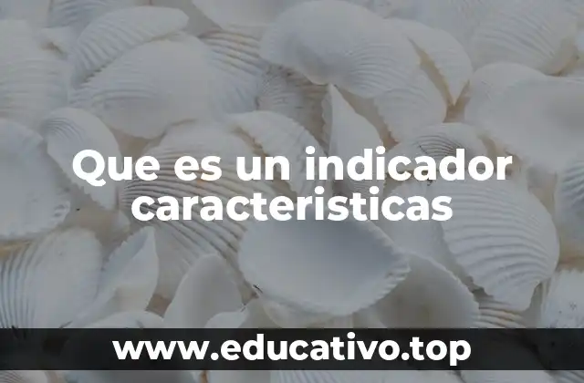 Que es un indicador caracteristicas