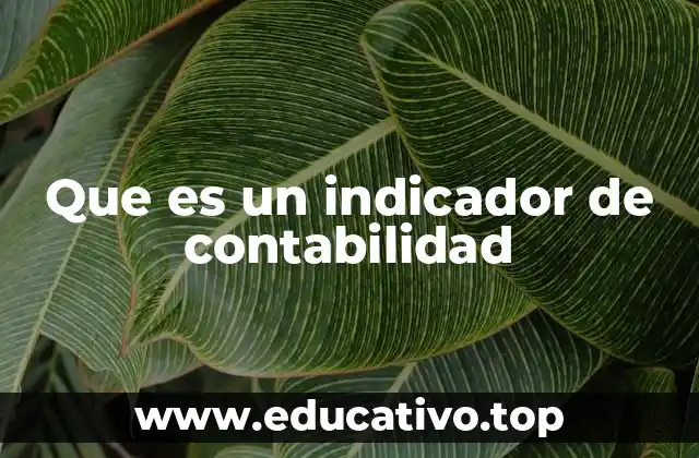Que es un indicador de contabilidad