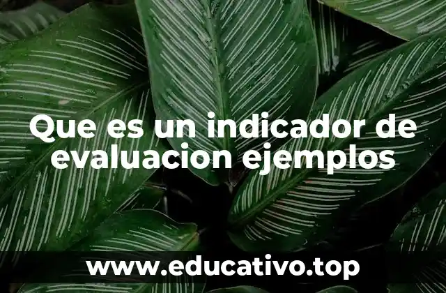 Que es un indicador de evaluacion ejemplos