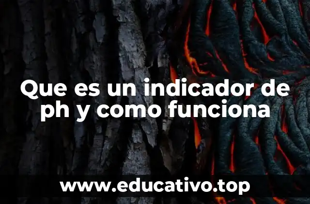 La importancia de medir el pH en diferentes contextos