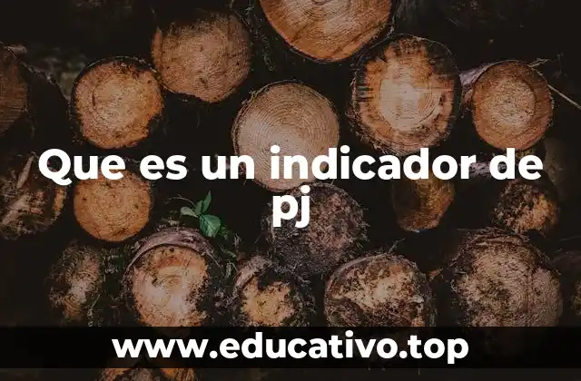Que es un indicador de pj