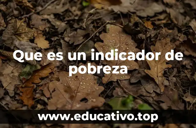 La importancia de los indicadores de pobreza en el contexto global