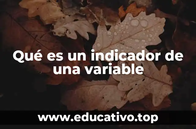 Qué es un indicador de una variable