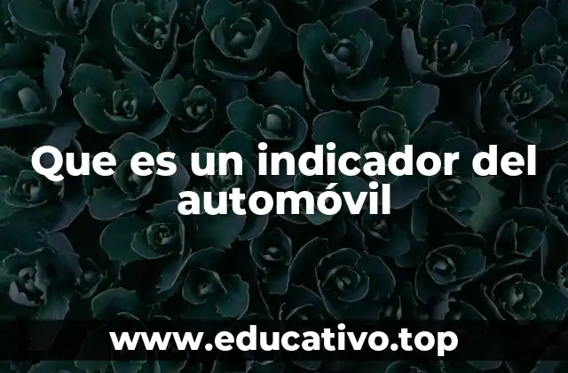 Que es un indicador del automóvil