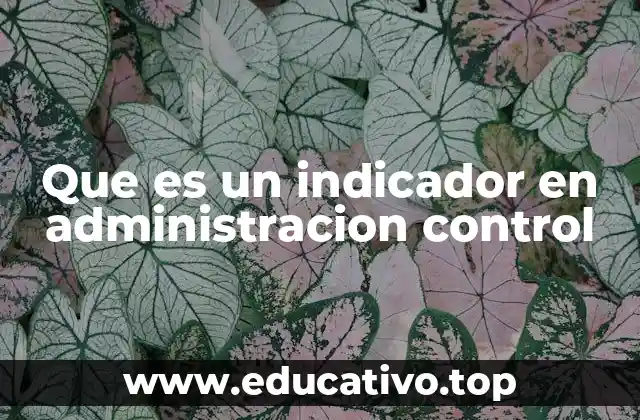 Que es un indicador en administracion control
