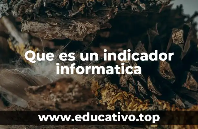 Que es un indicador informatica