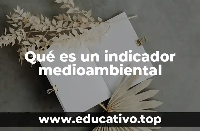 Qué es un indicador medioambiental