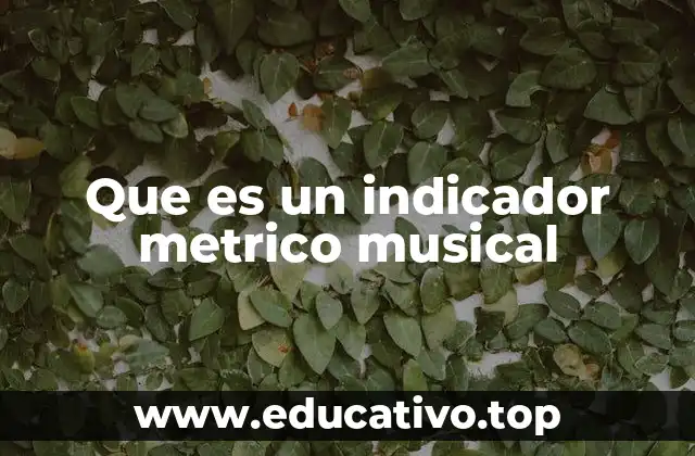Que es un indicador metrico musical
