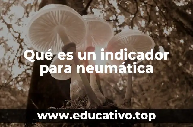 Qué es un indicador para neumática