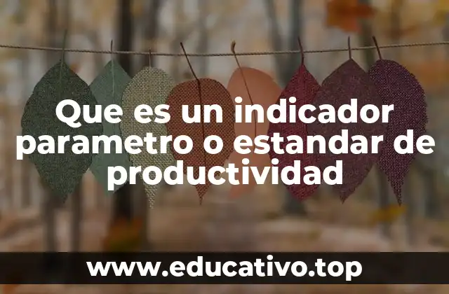 Que es un indicador parametro o estandar de productividad