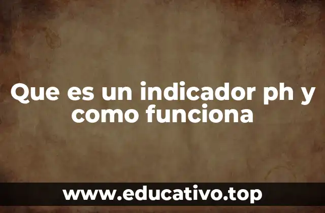 Que es un indicador ph y como funciona
