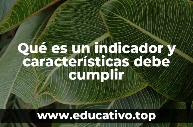 Qué es un indicador y características debe cumplir