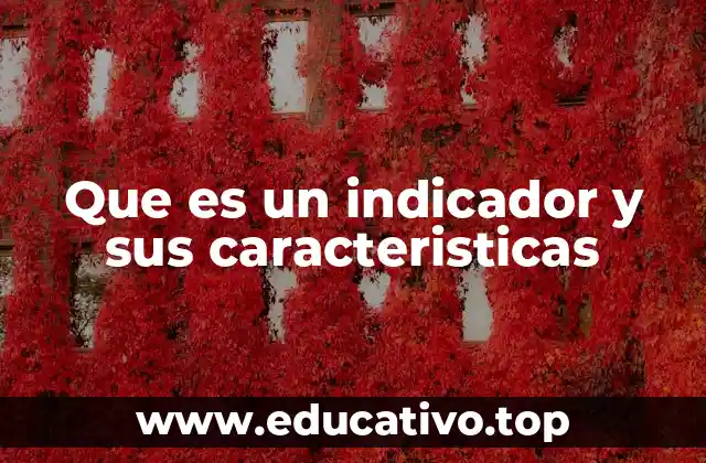 Que es un indicador y sus caracteristicas