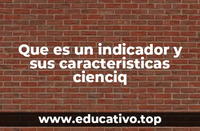 Que es un indicador y sus caracteristicas cienciq