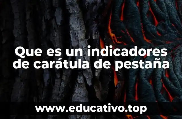 Que es un indicadores de carátula de pestaña