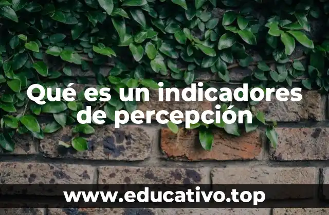 Qué es un indicadores de percepción