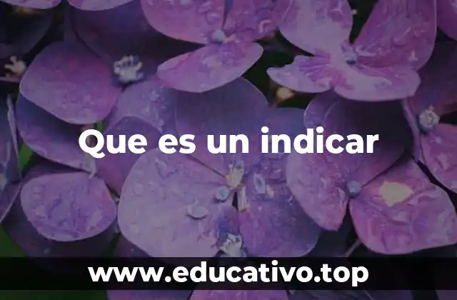 Que es un indicar