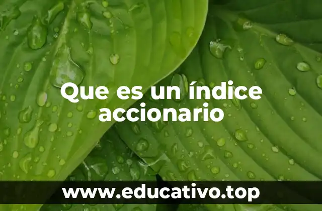 Que es un índice accionario