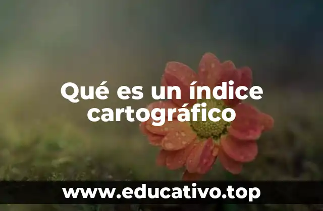 Qué es un índice cartográfico