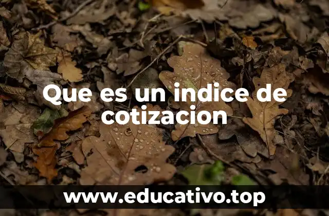 Que es un indice de cotizacion