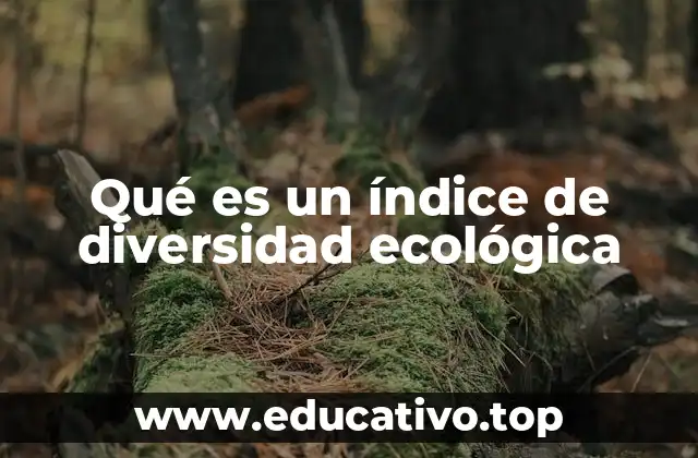 Qué es un índice de diversidad ecológica