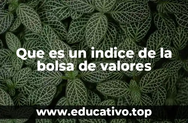 Que es un indice de la bolsa de valores