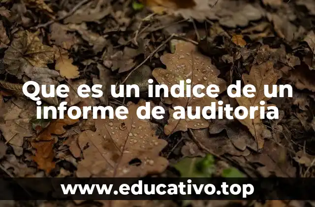 La importancia de una estructura clara en los informes de auditoría