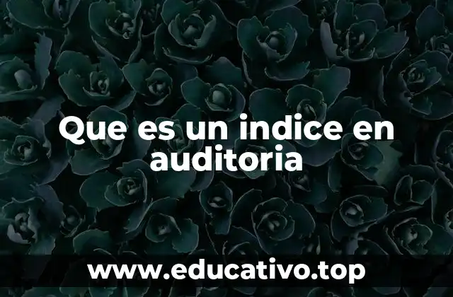Que es un indice en auditoria