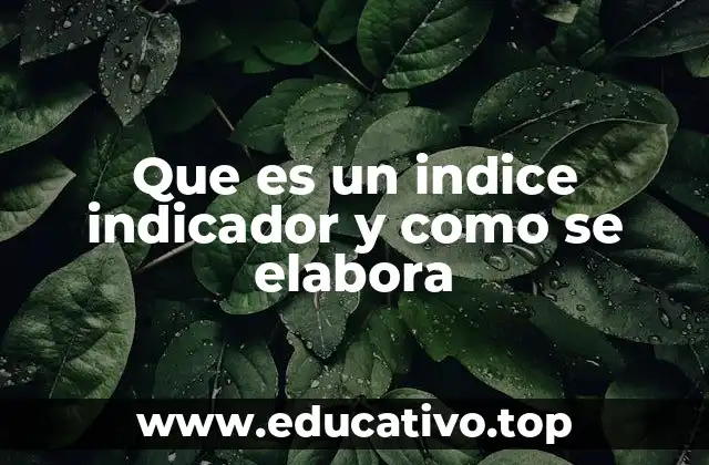 Que es un indice indicador y como se elabora