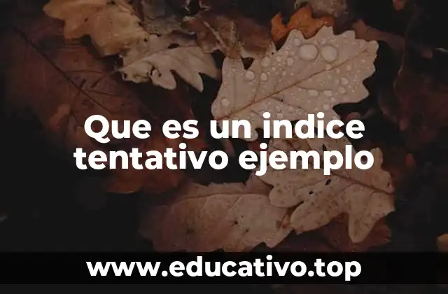 Que es un indice tentativo ejemplo