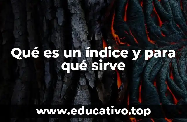 La importancia de los índices en la organización de la información