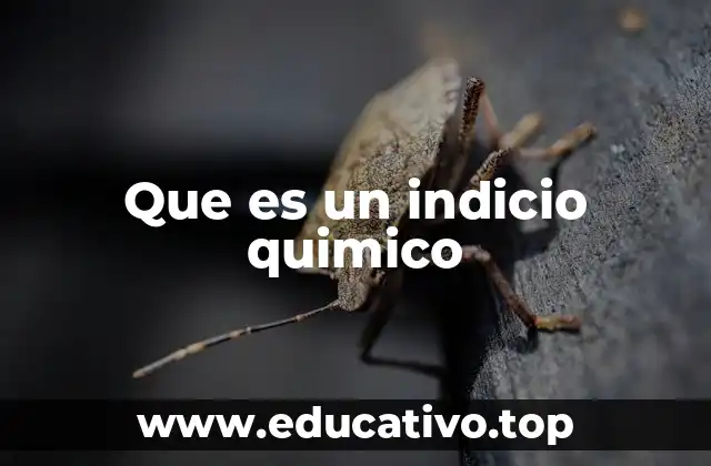 Que es un indicio quimico