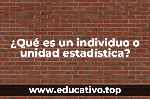 ¿Qué es un individuo o unidad estadística?