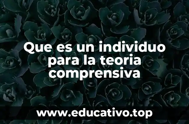 Que es un individuo para la teoria comprensiva