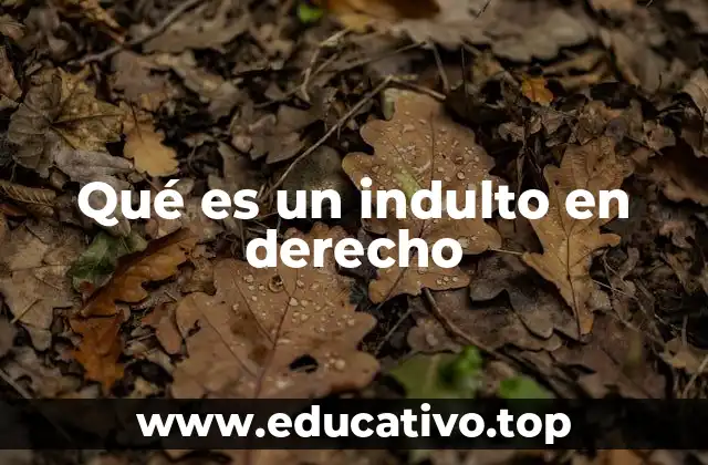 Qué es un indulto en derecho