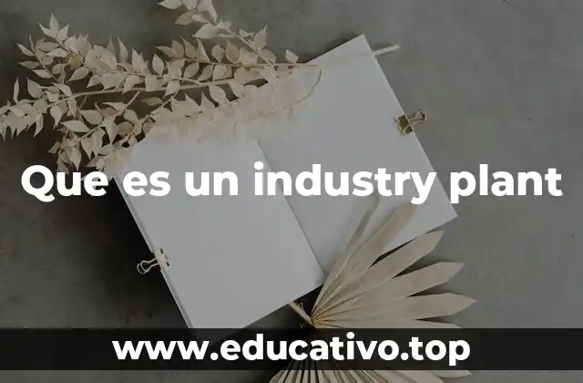 Que es un industry plant