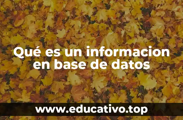 Qué es un informacion en base de datos