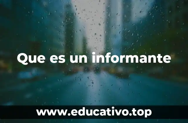 Que es un informante