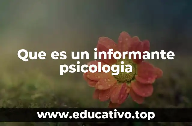 Que es un informante psicologia
