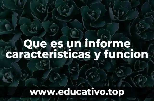 Que es un informe caracteristicas y funcion